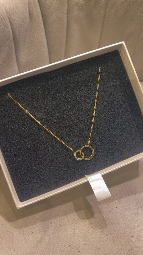 Lisa stainless necklace